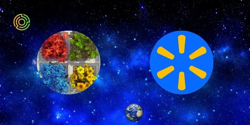 Revolutionizing Shopping: Microsoft and Walmart's AI-Powered Retail Experience